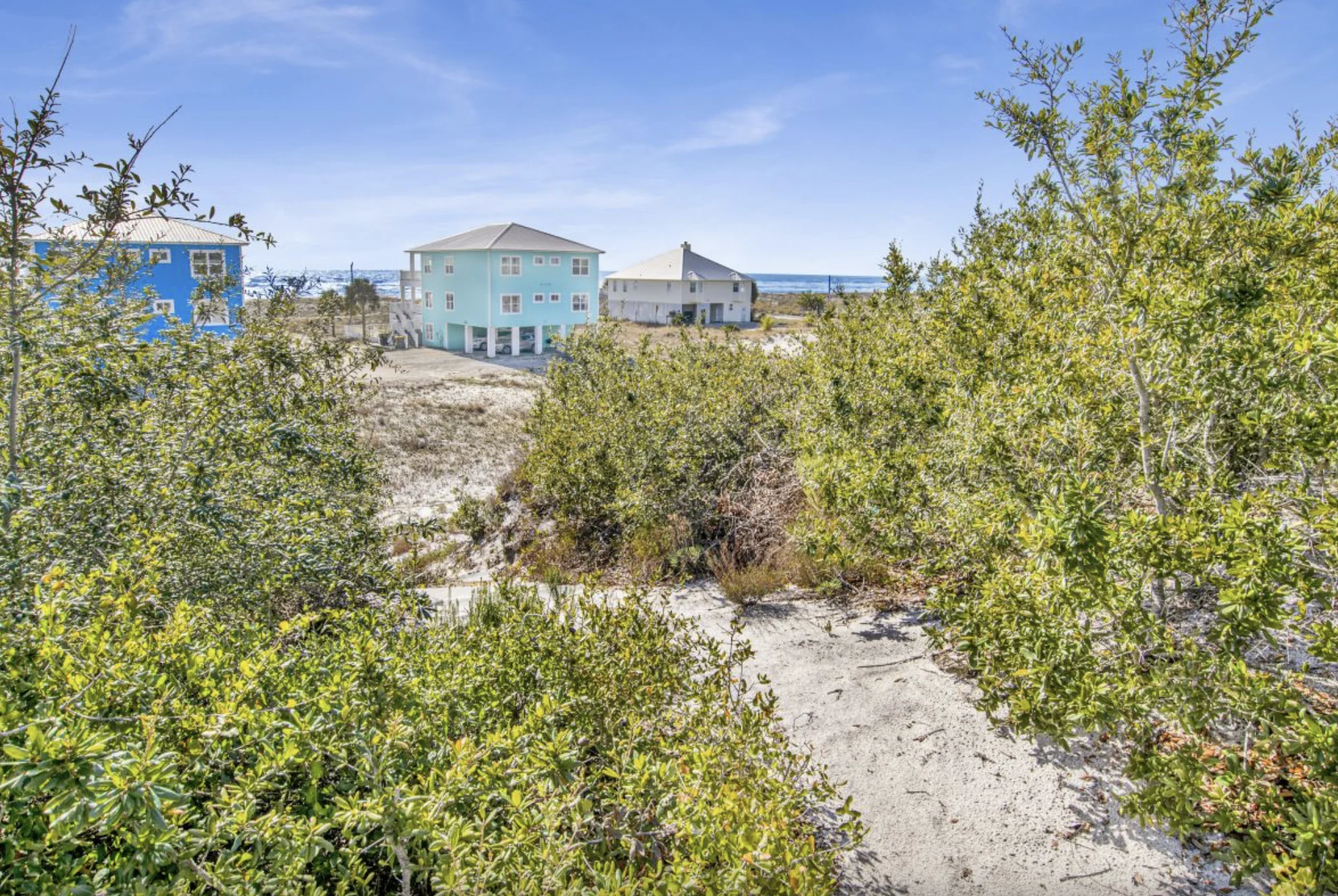 Gulf in the distance over the dunes, Tree Tops