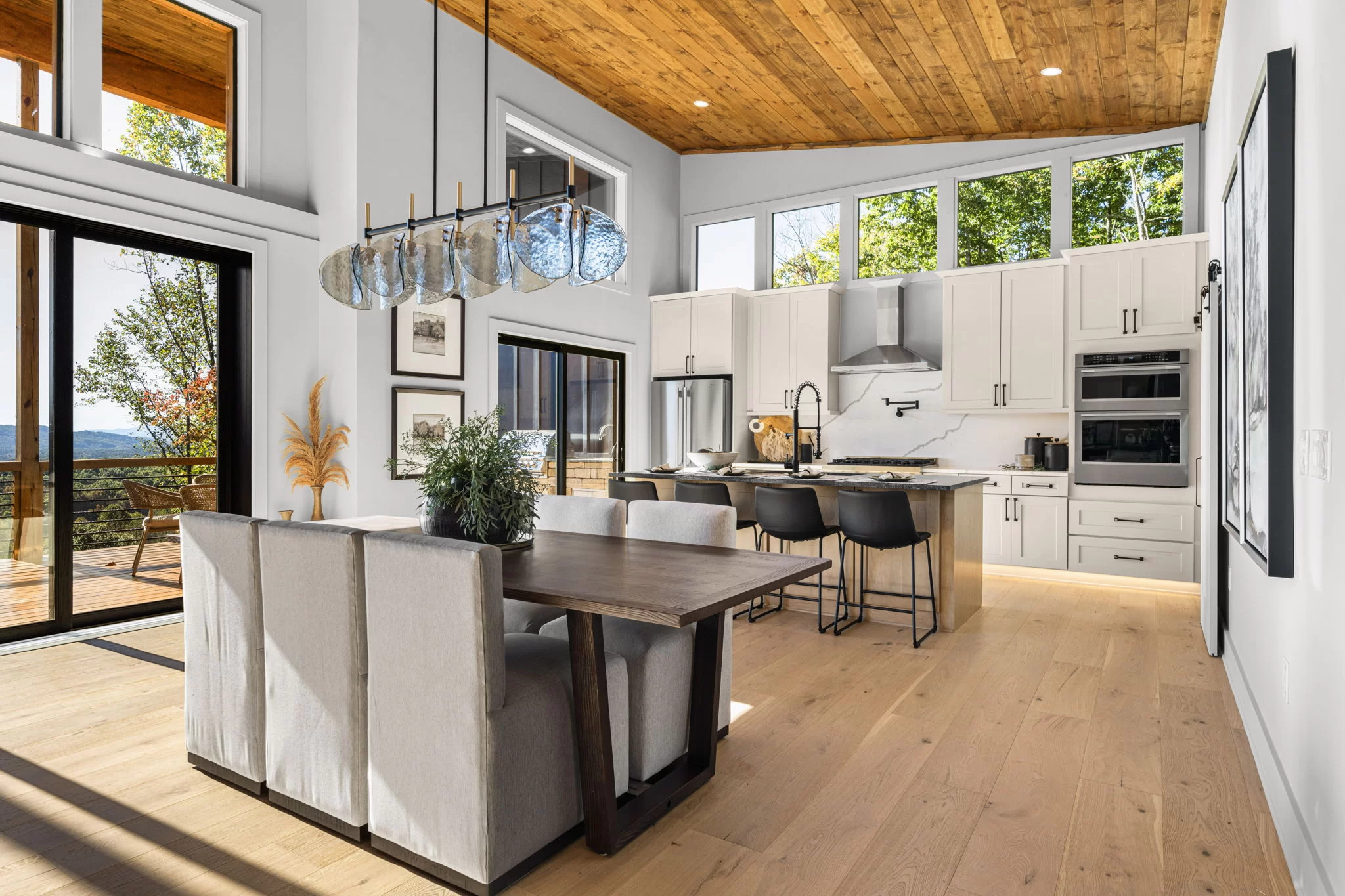 Dining table and kitchen under the vaulted ceiling, View Finder II